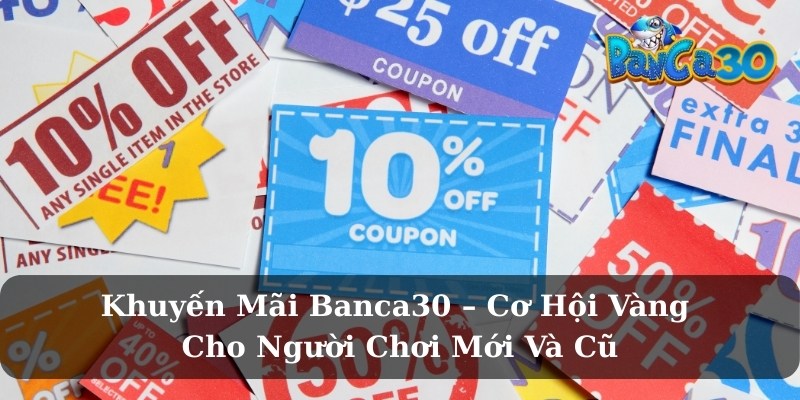Vì sao khuyến mãi tại Banca30 được người chơi quan tâm?