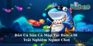 Bắn Cá Săn Cá Mập Tại Banca30 - Trải Nghiệm Người Chơi
