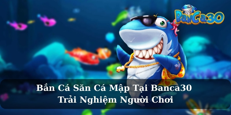 Bắn Cá Săn Cá Mập Tại Banca30 - Trải Nghiệm Người Chơi